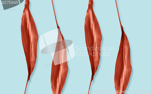 Image of red leaves on blue background