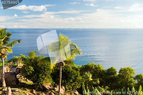 Image of view to indian ocean from island with palm trees