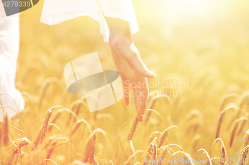 Image of close up of woman hand in cereal field