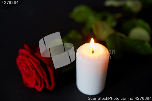 Image of red rose and burning candle over black background