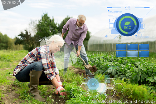 Image of senior couple working in garden or at summer farm