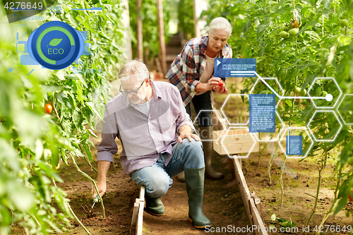 Image of senior couple working at farm greenhouse