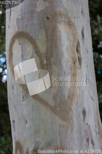 Image of Heart On A tree