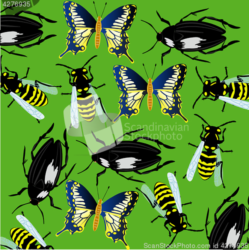 Image of Background from insect