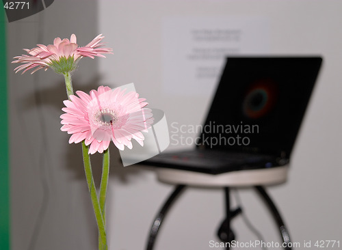 Image of Put flowers in your computers