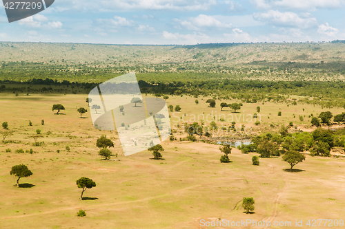 Image of maasai mara national reserve savanna at africa