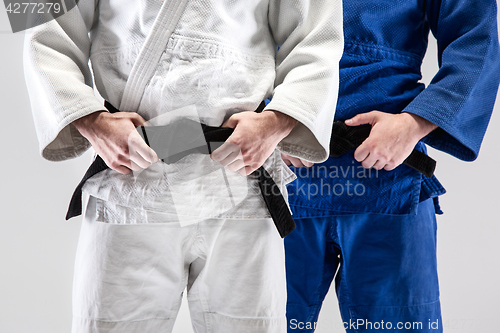Image of The two judokas fighters posing at studio