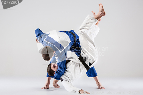 Image of The two judokas fighters fighting men