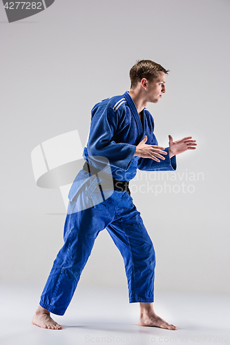 Image of The one judokas fighter posing on gray