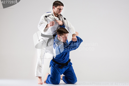 Image of The two judokas fighters fighting men