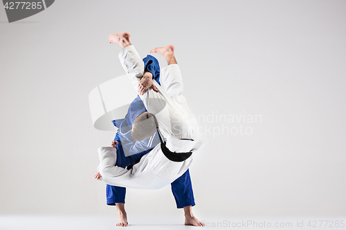 Image of The two judokas fighters fighting men