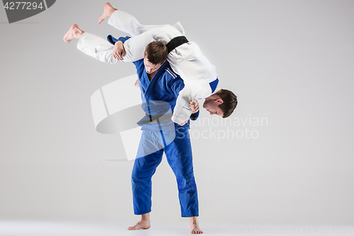 Image of The two judokas fighters fighting men