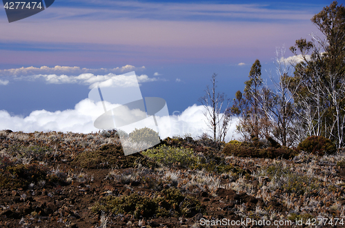 Image of Hawaii, USA