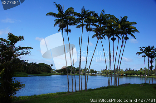 Image of Hawaii, United States of America