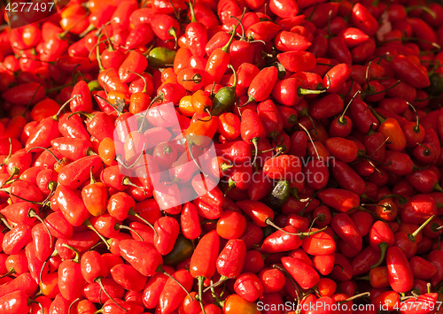 Image of Red chili peppers