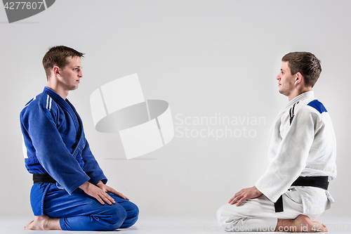 Image of The two judokas fighters fighting men