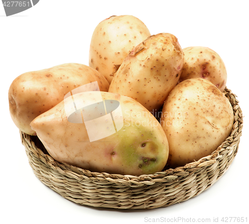 Image of New Harvest Potato