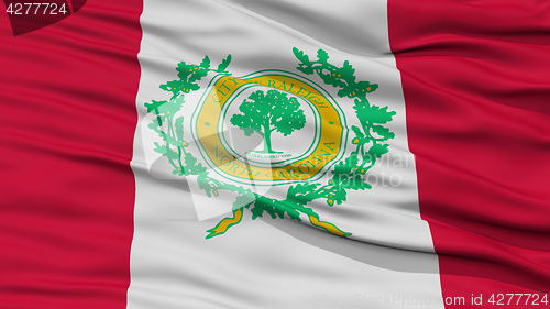 Image of Closeup Raleigh Flag