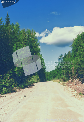 Image of Dirt Road Through The Summer Forest