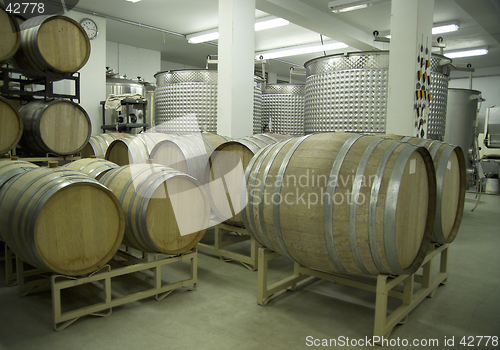 Image of Winery-Barrels and Vats-D2x-44366