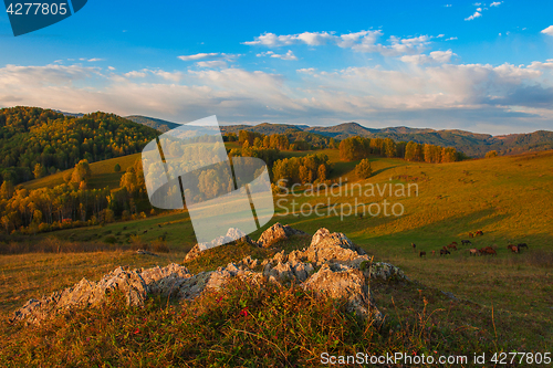 Image of Beauty dawn in the mountains