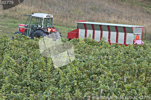 Image of Winery-Tractor-Hopper-Vineyard