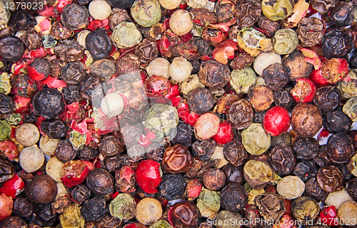 Image of color pepper background