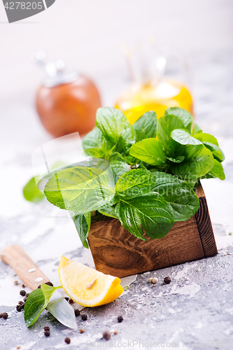 Image of fresh mint