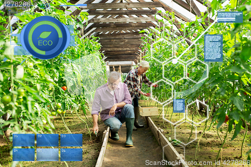 Image of senior couple working at farm greenhouse