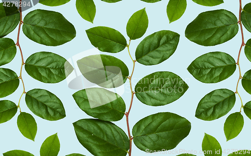 Image of green leaves on blue background