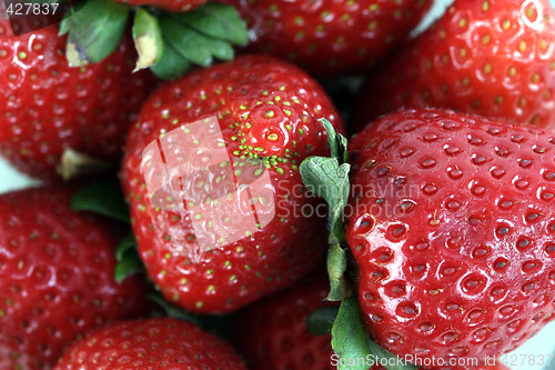 Image of Strawberry