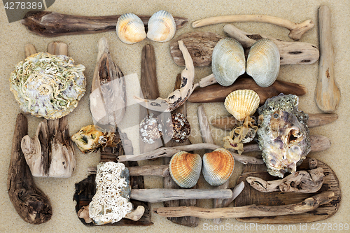 Image of Driftwood and Seashell Abstract