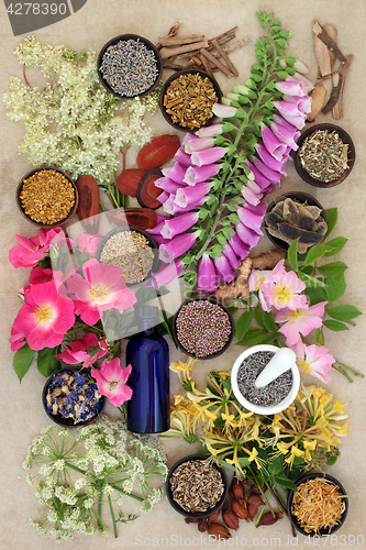 Image of Natural Floral Health Care 