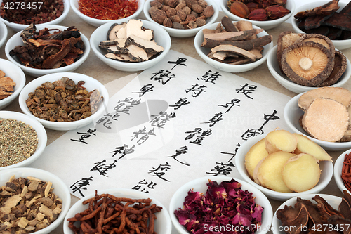 Image of Chinese Medicinal Herbs