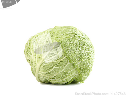 Image of Green cabbage vegetable