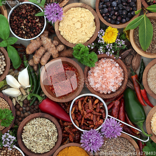 Image of Fresh and Dried Herb and Spice Selection