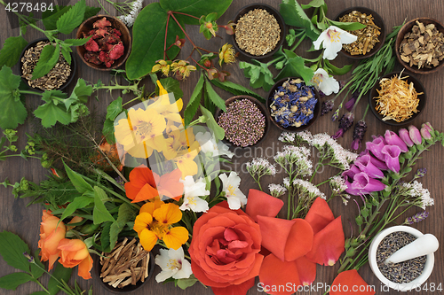 Image of Flowers and Herbs for Herbal Medicine