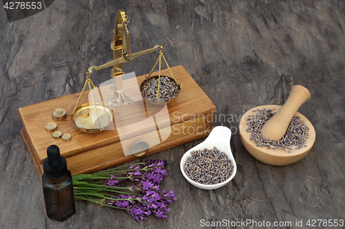 Image of Lavender Herb Flowers