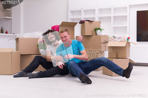 Image of young  gay couple moving  in new house