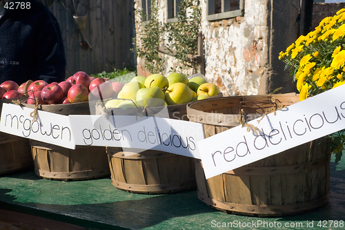 Image of Fresh Fall Apples for Sale!