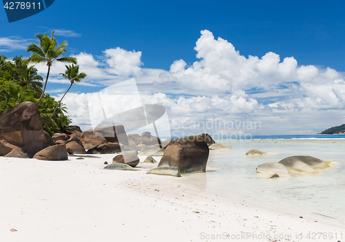 Image of island beach in indian ocean on seychelles