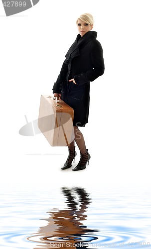 Image of suitcase lady