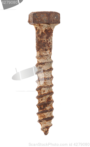 Image of Rusted old screw isolated