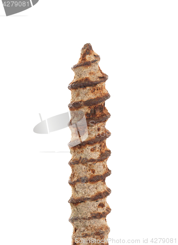 Image of Rusted old screw isolated