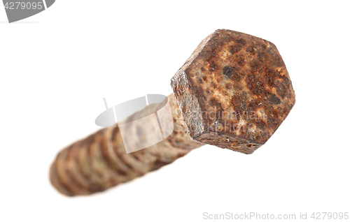 Image of Rusted old screw isolated