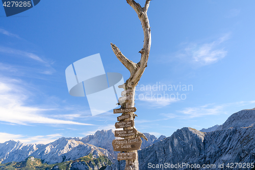 Image of Wooden signpost with route arrows on dry tree