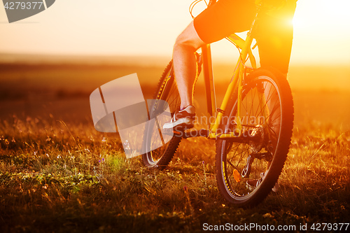 Image of Sporty Man Riding a Bicycle on the Country Road.