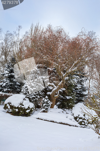 Image of beautiful winter garden covered by snow