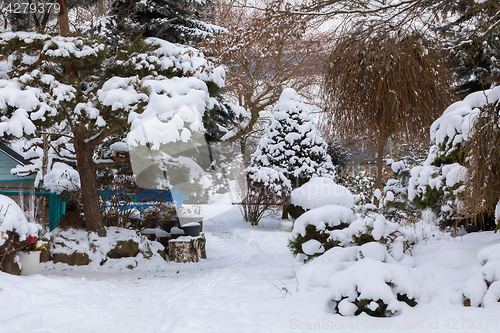 Image of beautiful winter garden covered by snow