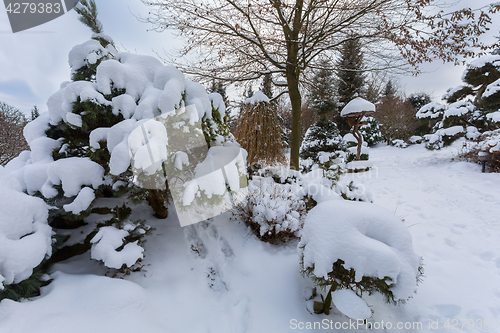 Image of beautiful winter garden covered by snow